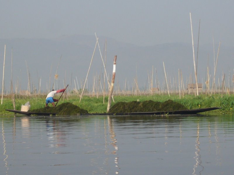 Travel - Myanmar - Inle Lake - First Boat Trip - Canals and floating villages